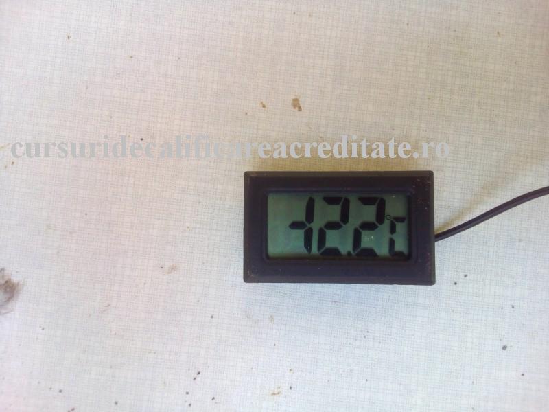 2l8wvvd. (Custom).JPG