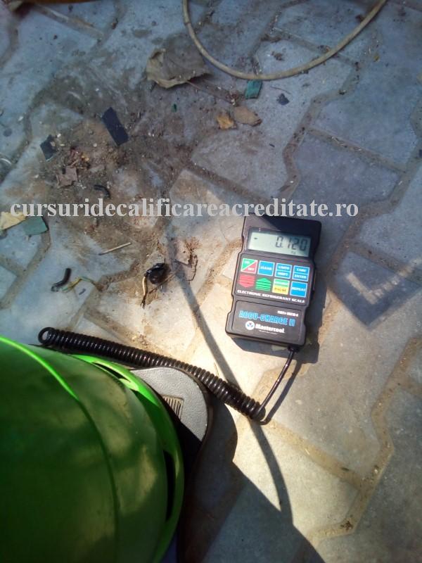 juzq0z. (Custom).JPG