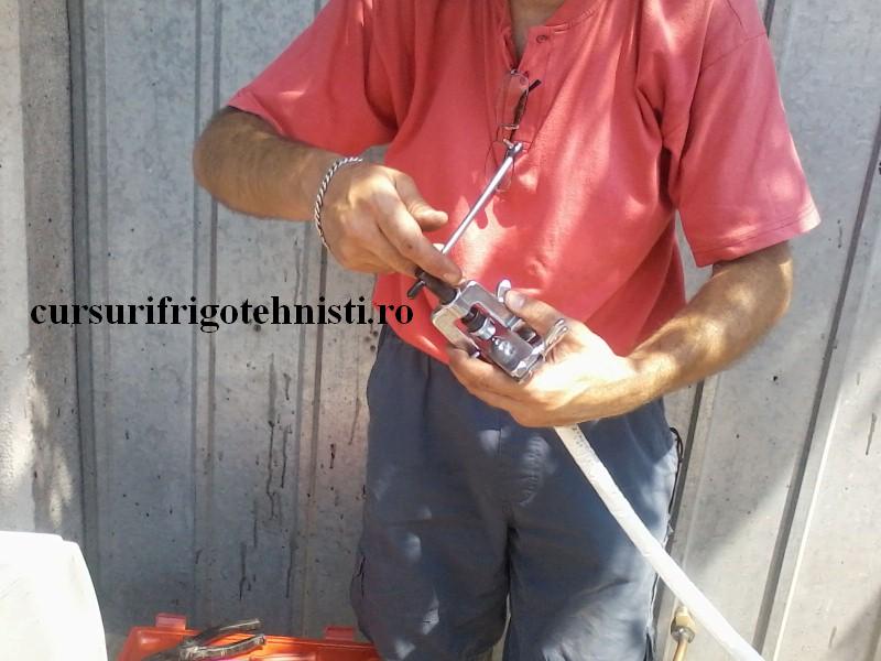 P15-07-16_12.19 (Custom).jpg