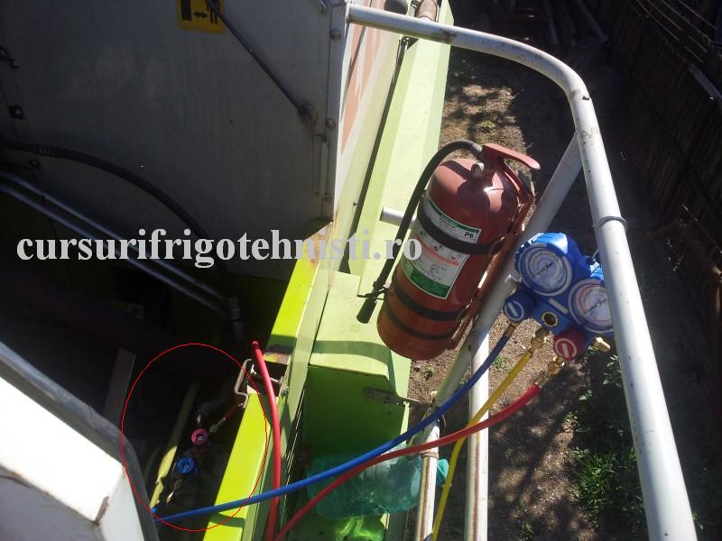 20160712_094728 (Custom).jpg