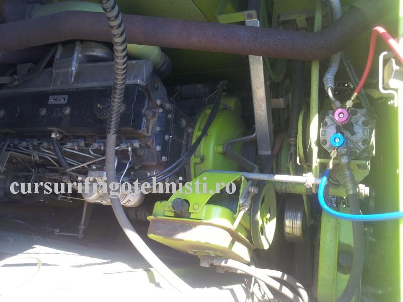 20160712_094831 (Custom).jpg