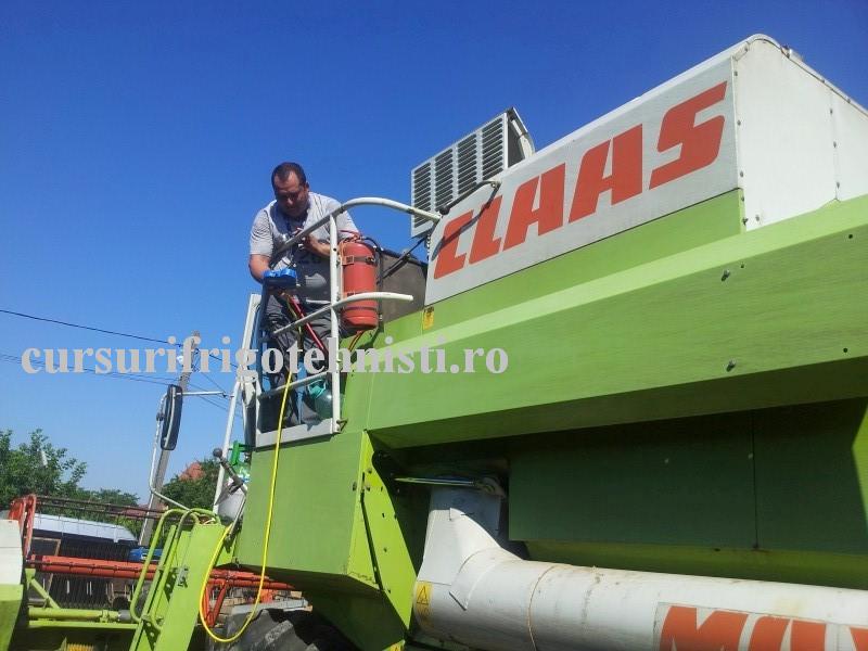 20160712_095042 (Custom).jpg