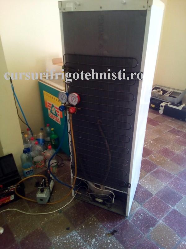 Comb la vac 1 (Custom).jpg