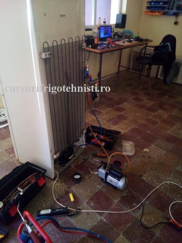 arctic 5 (Custom).jpg