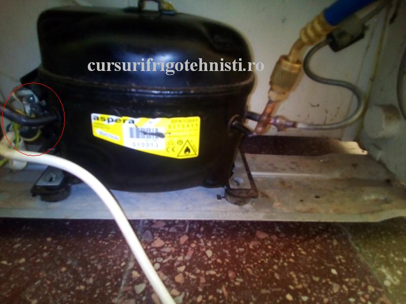 arctic 4 (Custom).jpg