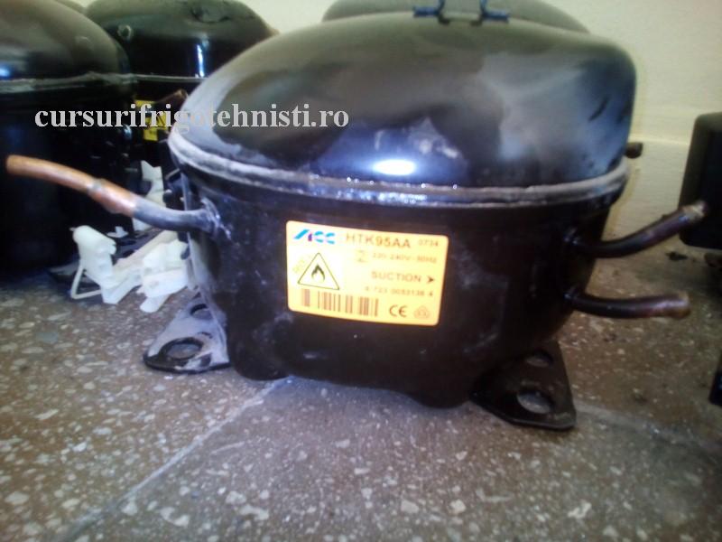 Arctic 1 (Custom).jpg