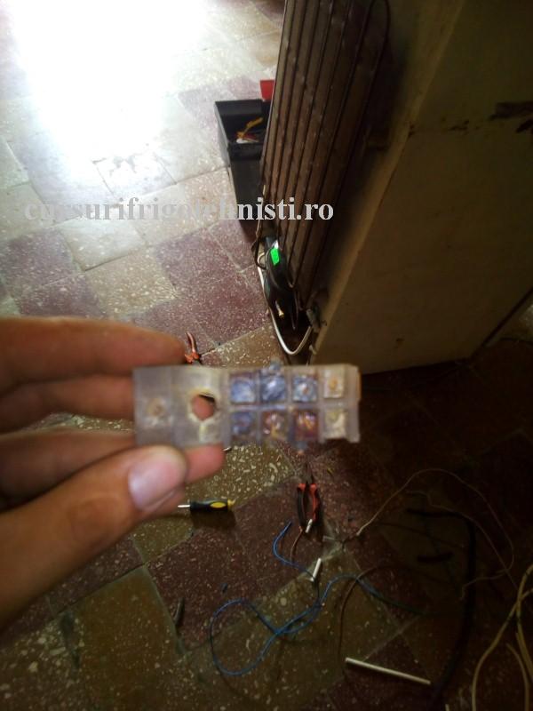 6 regl ruginita (Custom).jpg