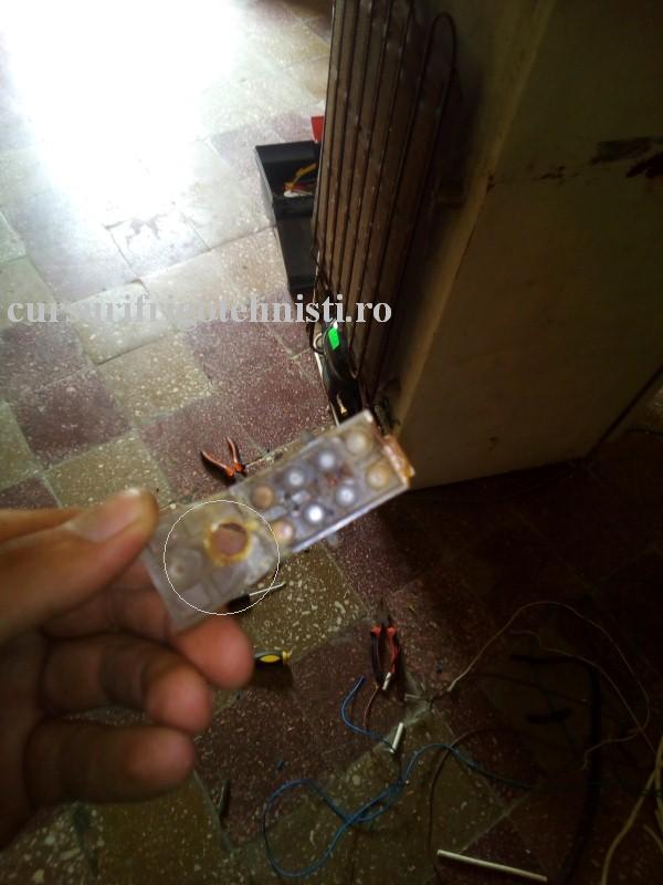 5 regl veche (Custom).jpg