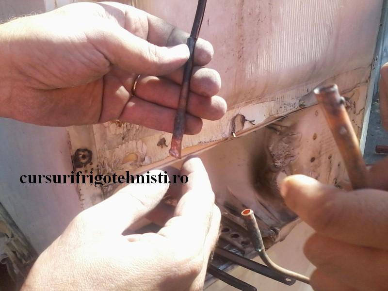 P22-07-16_10.53[01] (Custom).jpg