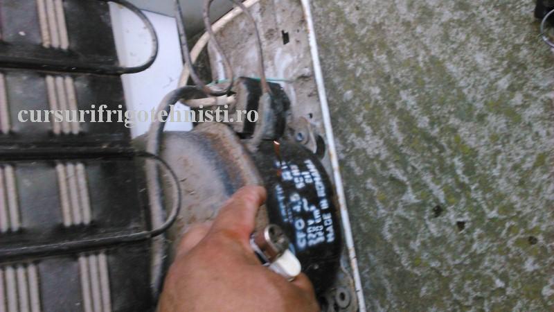 DSC_0014 (Custom).JPG