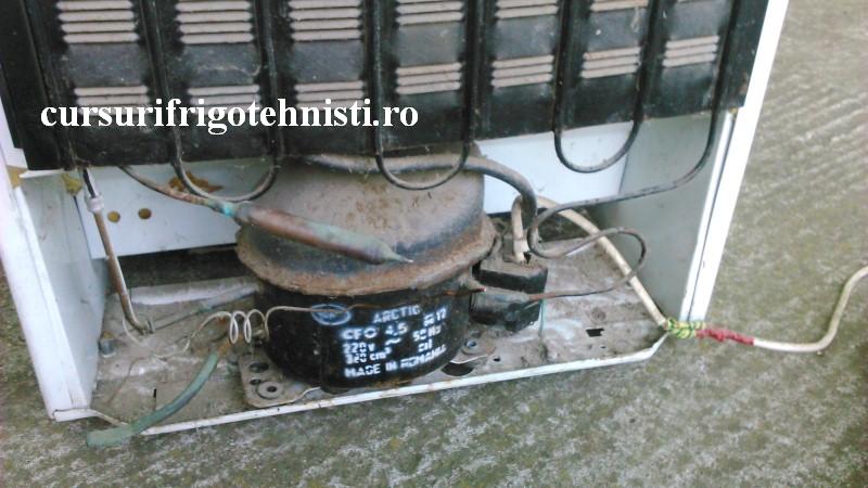 DSC_0016 (Custom).JPG