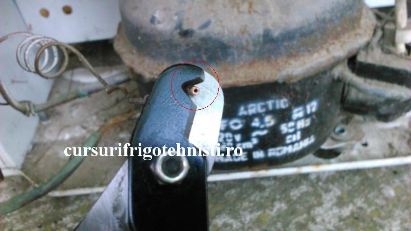 DSC_0022 (Custom).JPG