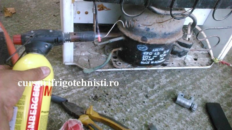 DSC_0024 (Custom).JPG