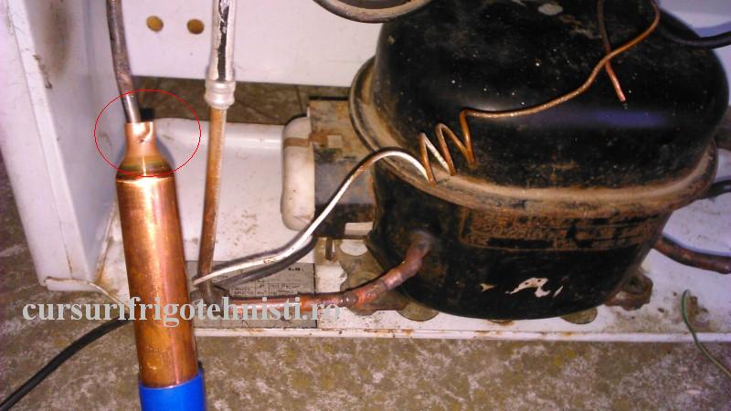 DSC_0026 (Custom).JPG