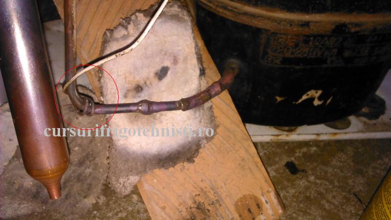 DSC_0028 (Custom).JPG