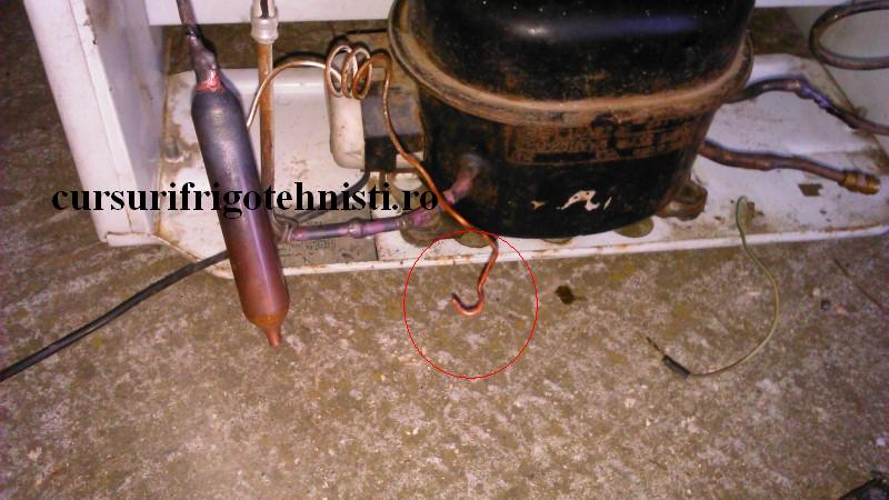 DSC_0029 (Custom).JPG