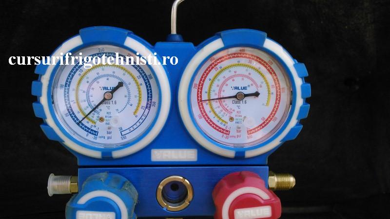 DSC_0034 (Custom).JPG