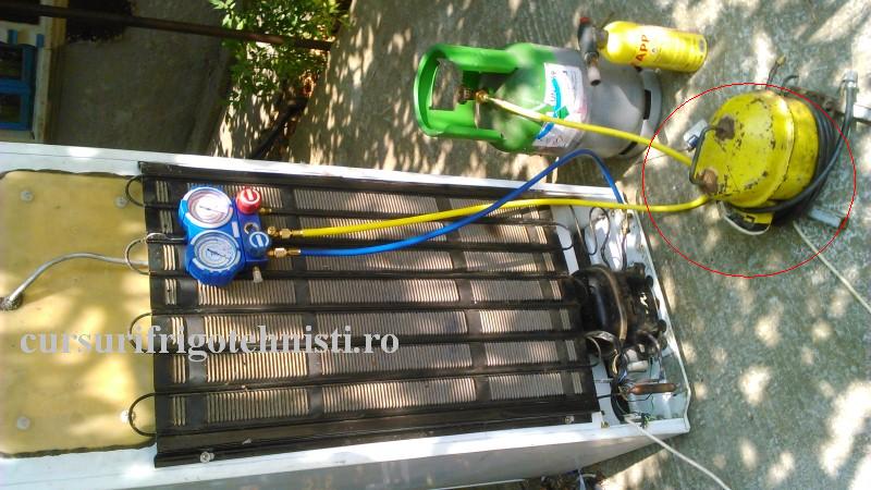 DSC_0039 (Custom).JPG