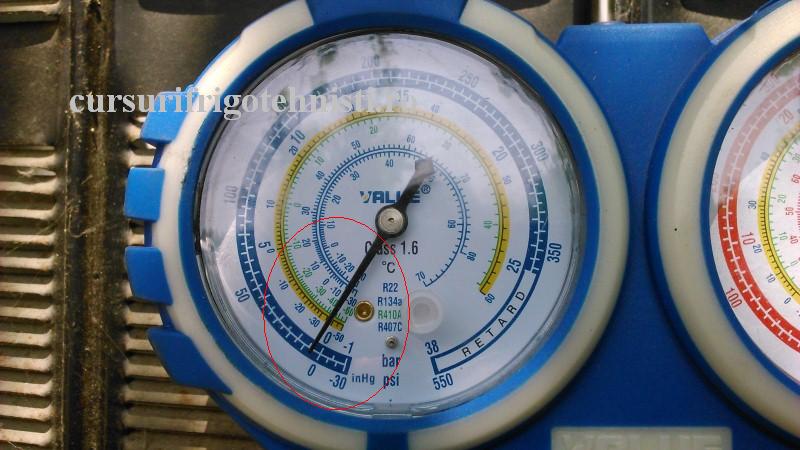 DSC_0040 (Custom).JPG