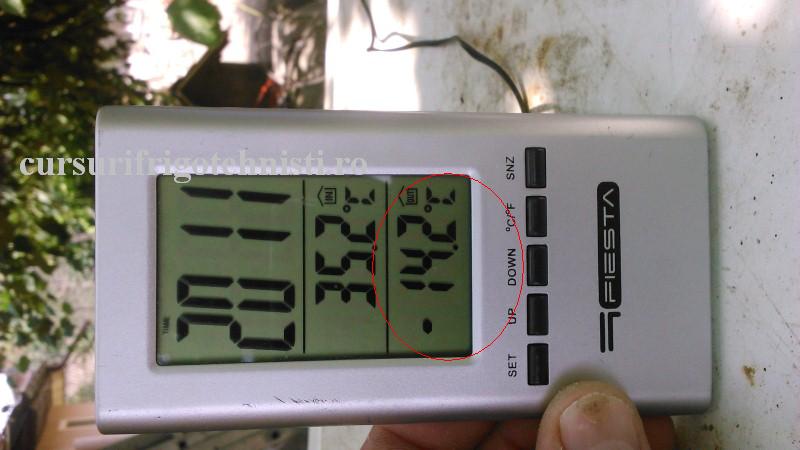 DSC_0042 (Custom).JPG