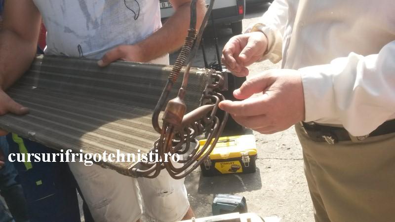 20160803_105127 (Custom).jpg