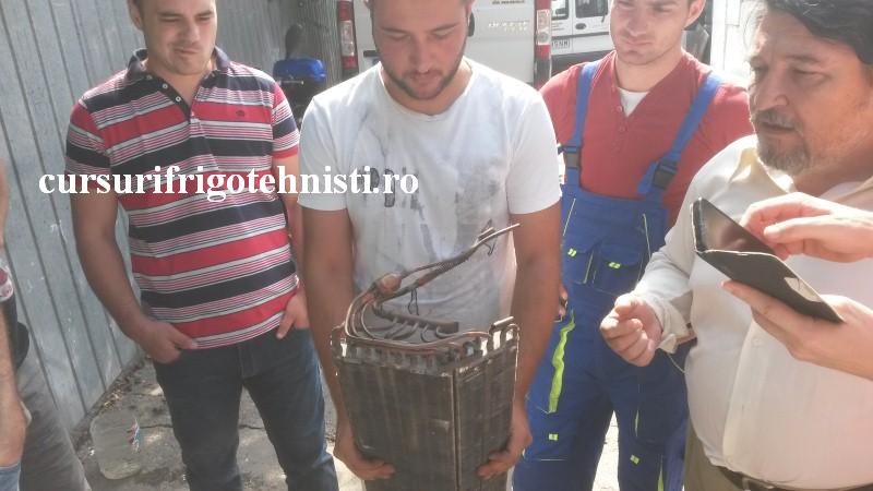 20160803_105236 (Custom).jpg