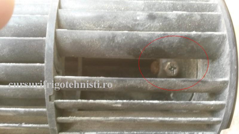 20160803_105516 (Custom).jpg