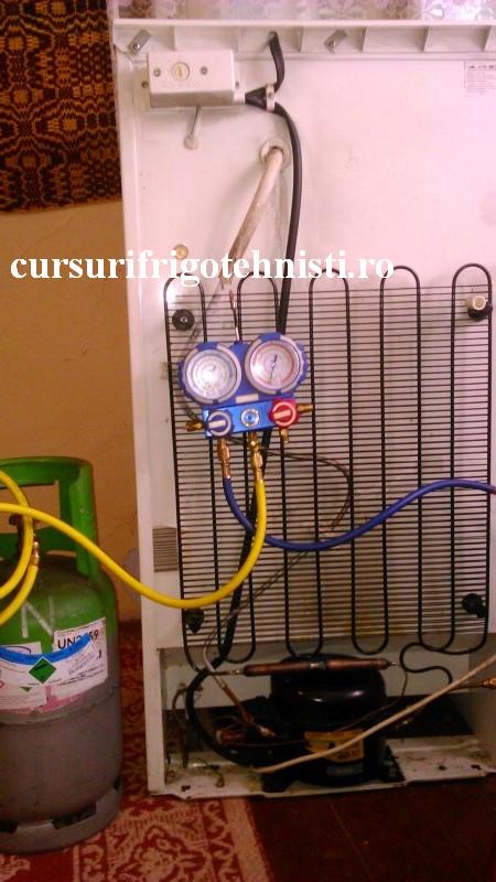 DSC_0062[1] (Custom).JPG