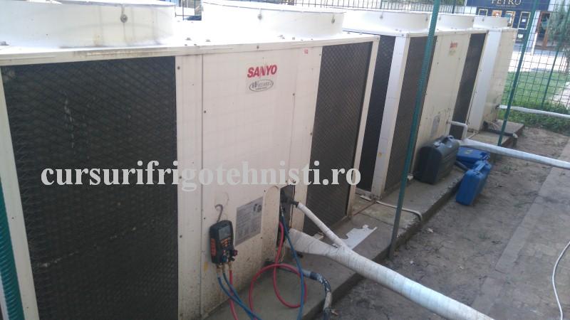 DSC_0439 (Custom).JPG