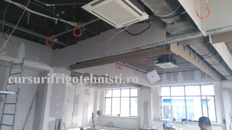 DSC_0438 (Custom).JPG