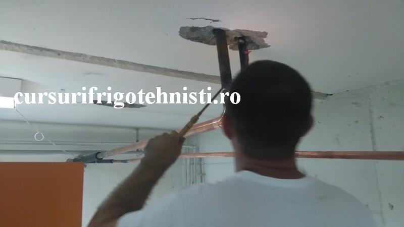 DSC_0436 (Custom).JPG