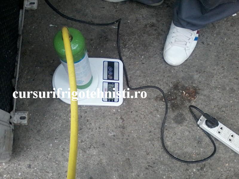 P18-08-16_11.09 (Custom).jpg