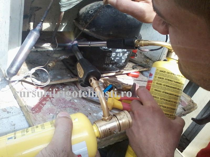 P18-08-16_10.46 (Custom).jpg