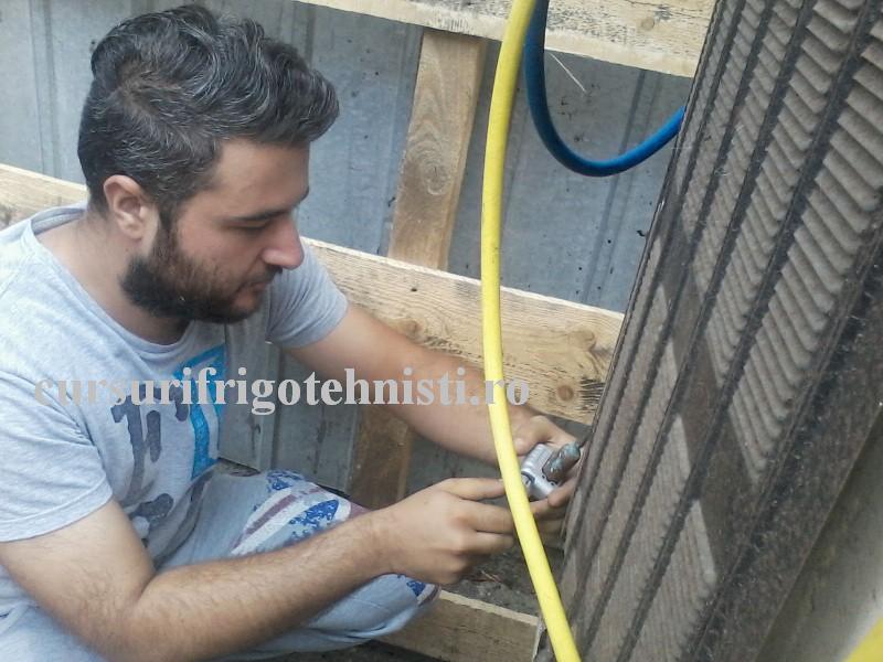 P18-08-16_10.38 (Custom).jpg