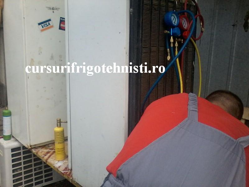 P18-08-16_10.29 (Custom).jpg