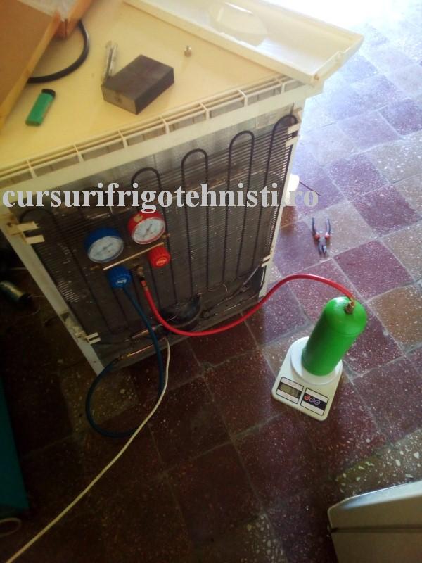 3 incarcare 134 (Custom).jpg