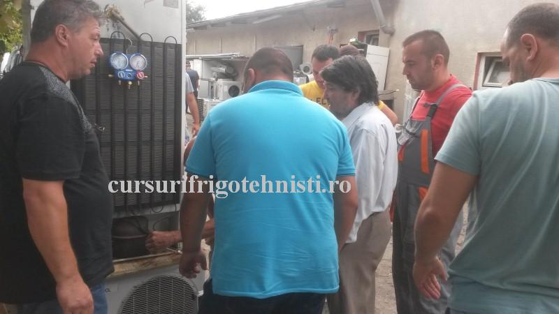 impreuna cu domnul profesor.jpg