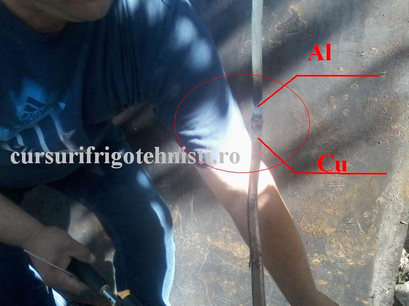 P25-08-16_10.51[01] (Custom).jpg