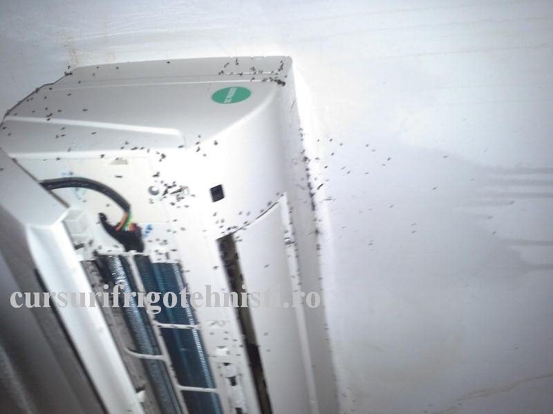 20160825_140622 (Custom).jpg