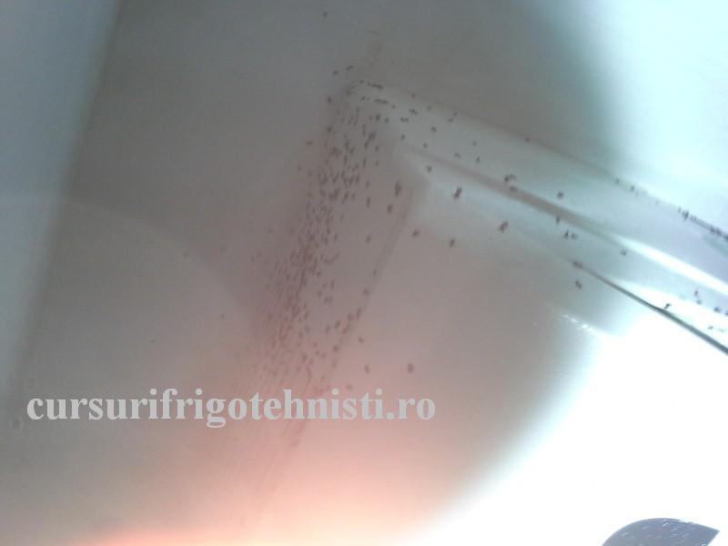 20160825_140608 (Custom).jpg