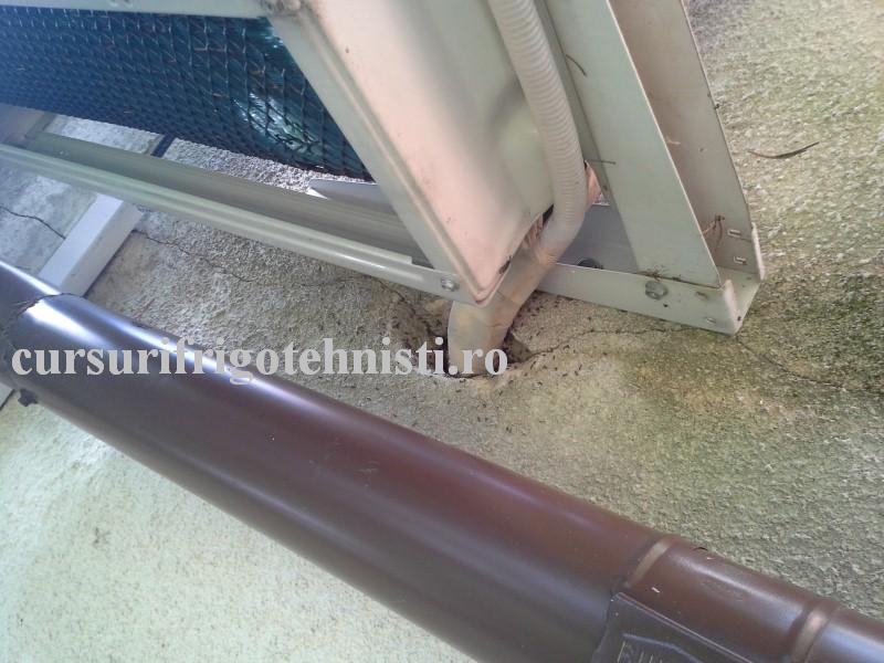 20160825_135247 (Custom).jpg