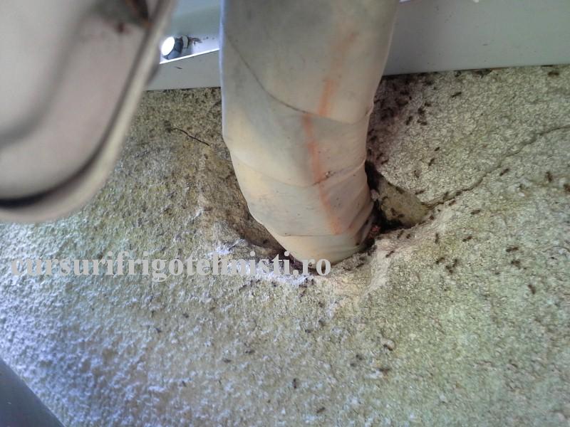 20160825_135240 (Custom).jpg