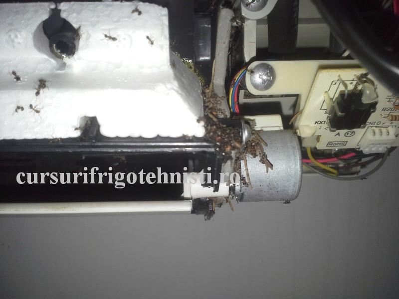 20160825_143942 (Custom).jpg