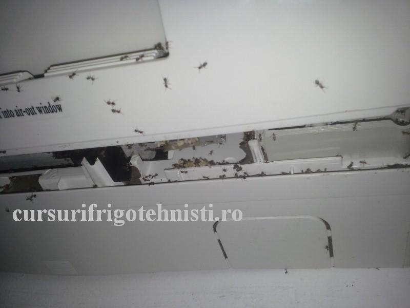 20160825_143525 (Custom).jpg