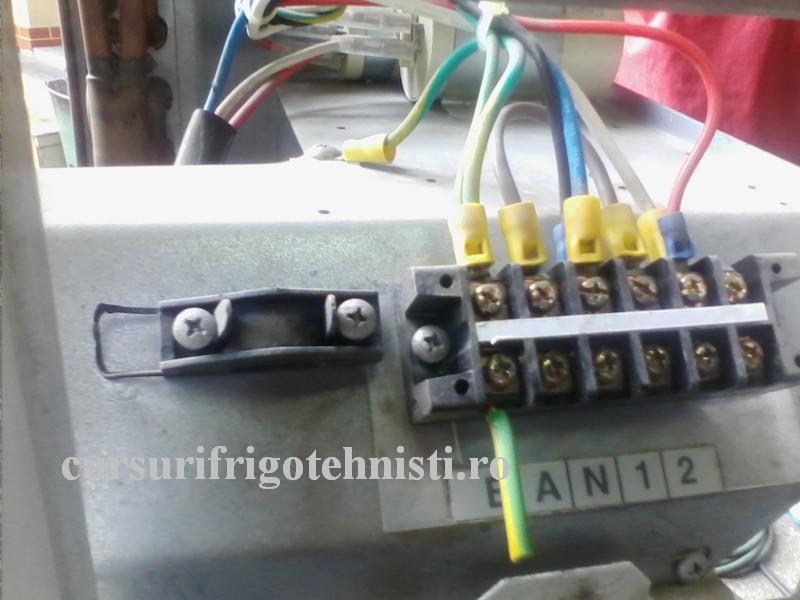 IMG_20160828_103835 (Custom).jpg