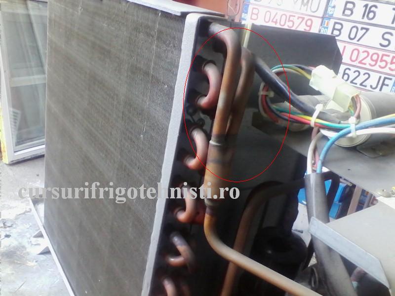 IMG_20160828_103821 (Custom).jpg