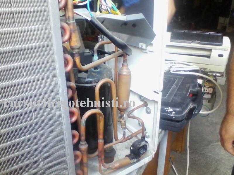 IMG_20160828_103716 (Custom).jpg