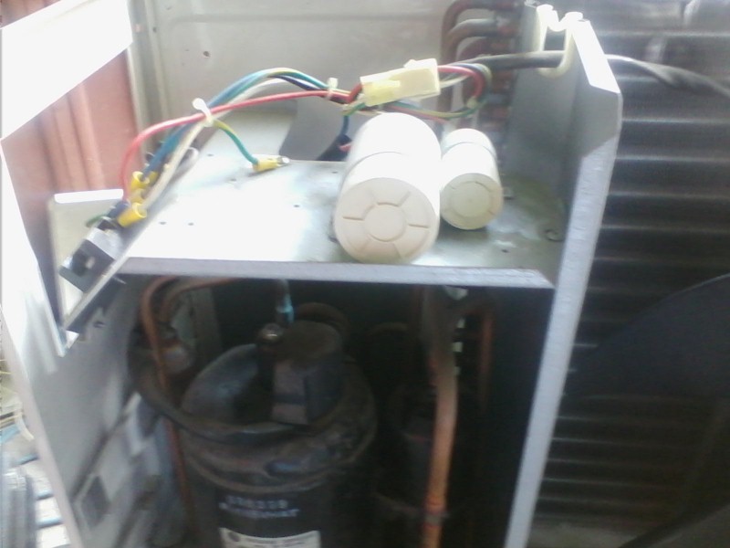 IMG_20160828_103648 (Custom).jpg