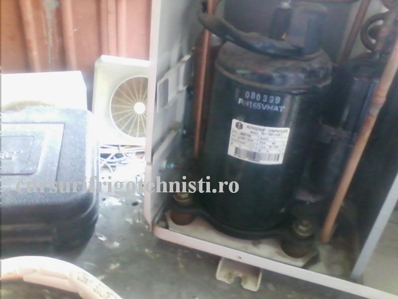 IMG_20160828_103634 (Custom).jpg