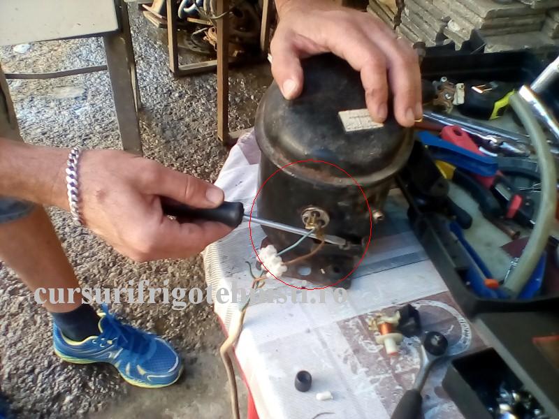 IMG_20160828_095045 (Custom).jpg